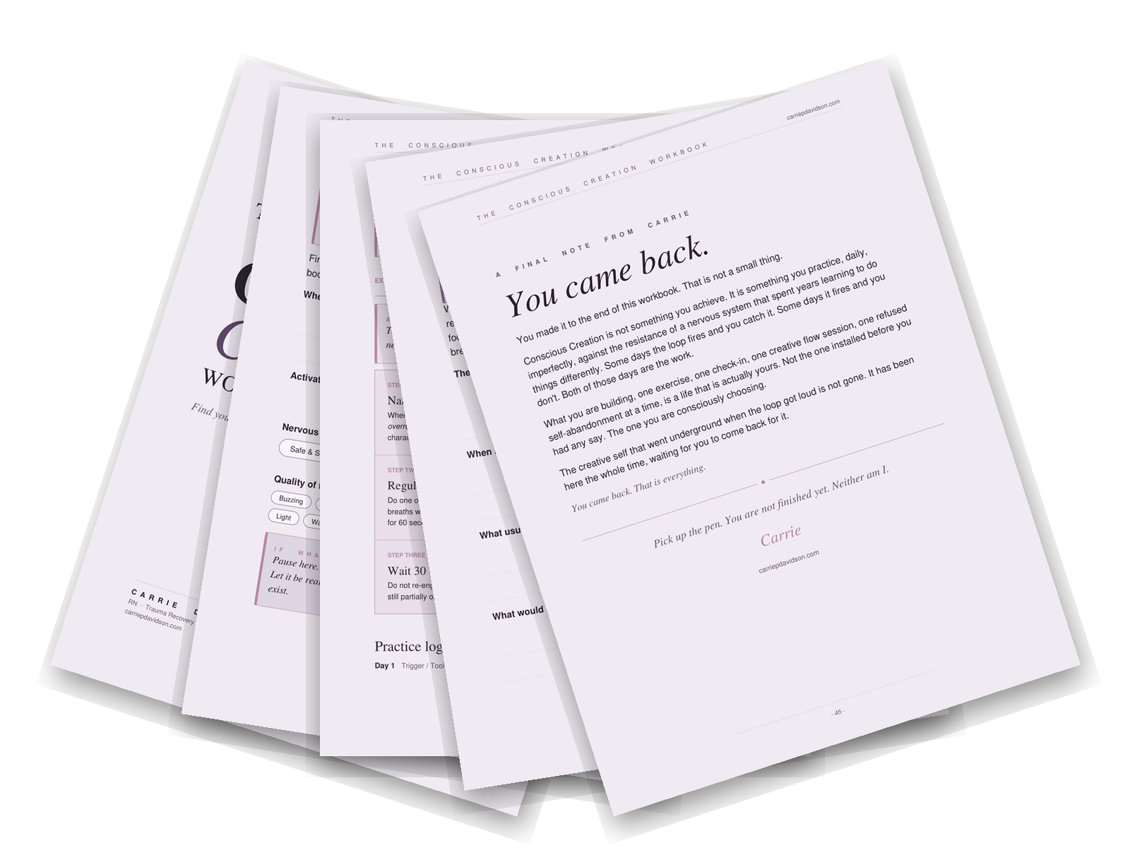 A fanned preview of pages from The Method Workbook